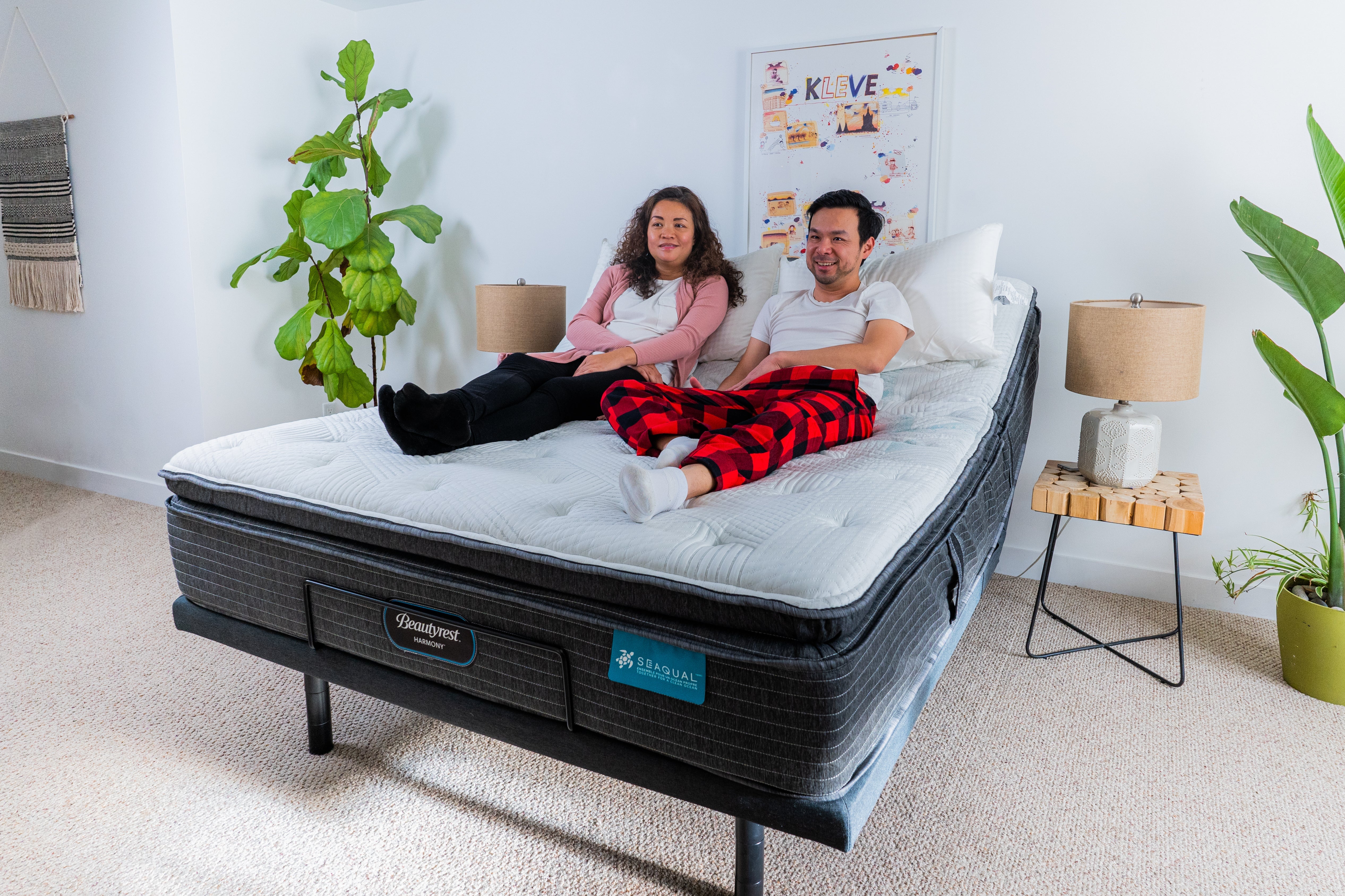  Ultimate Beautyrest Queen Adjustable Bed