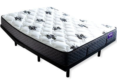 2024 Clearout Rembrandt Queen Adjustable Bed