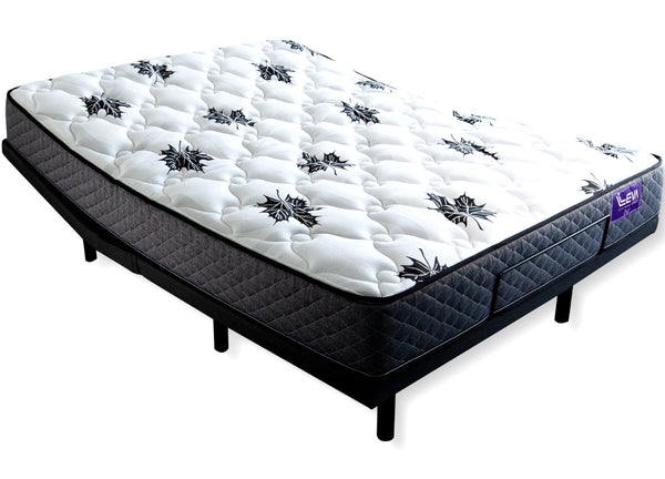 2024 Clearout Rembrandt Queen Adjustable Bed